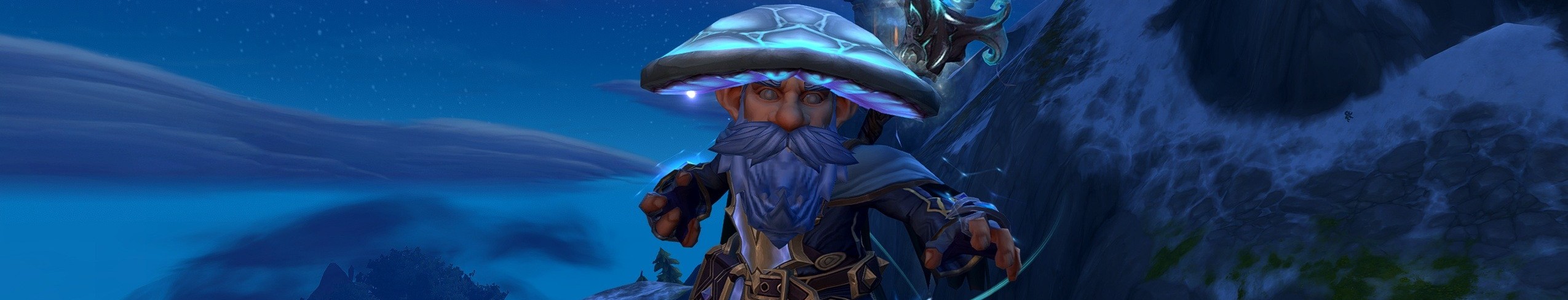 Frost Mage Banner